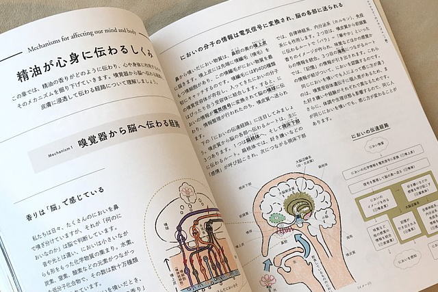 アロマテラピー検定の公式テキストと問題集の改訂とおすすめの利用法 Aeaj認定校 アロマテラピースクール My Earth