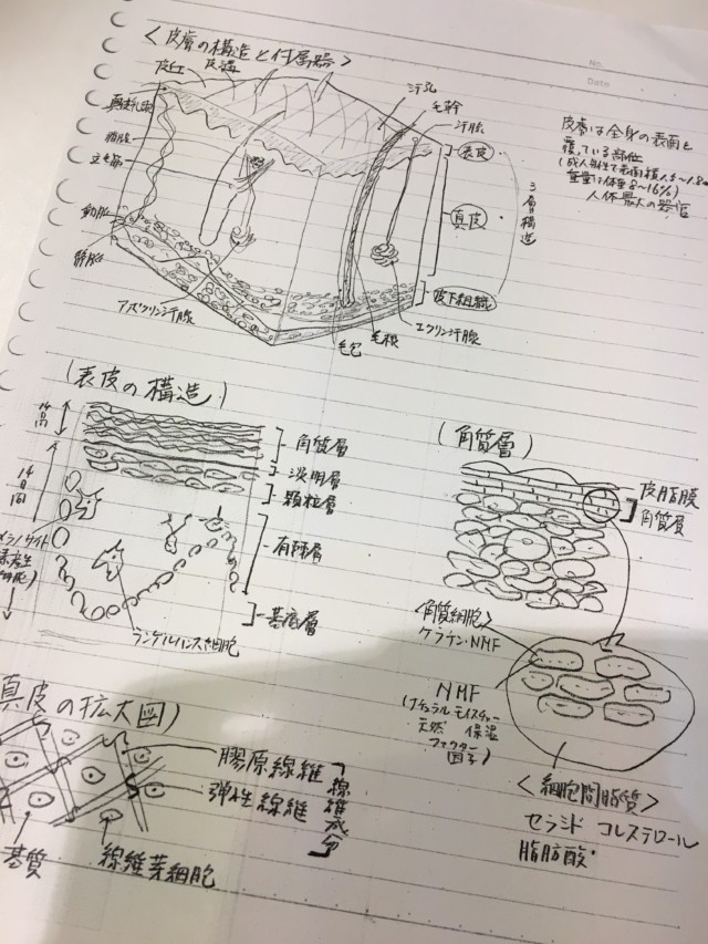 アロマテラピーインストラクター養成講座卒業試験