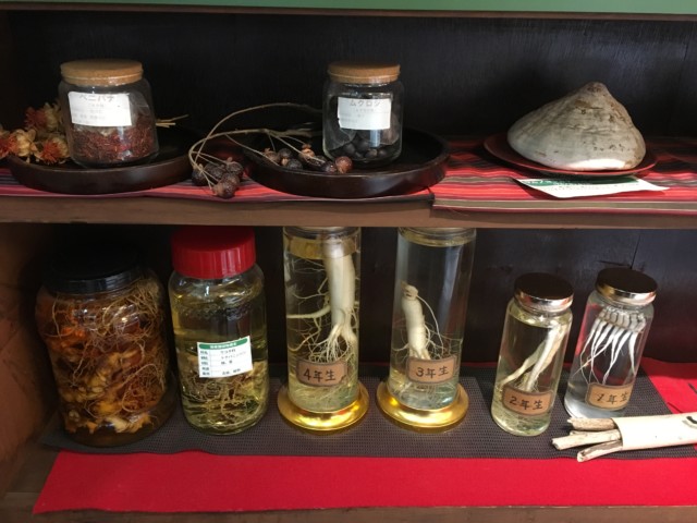 会津御薬園の薬草