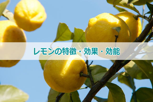 レモンの特徴・効果・効能